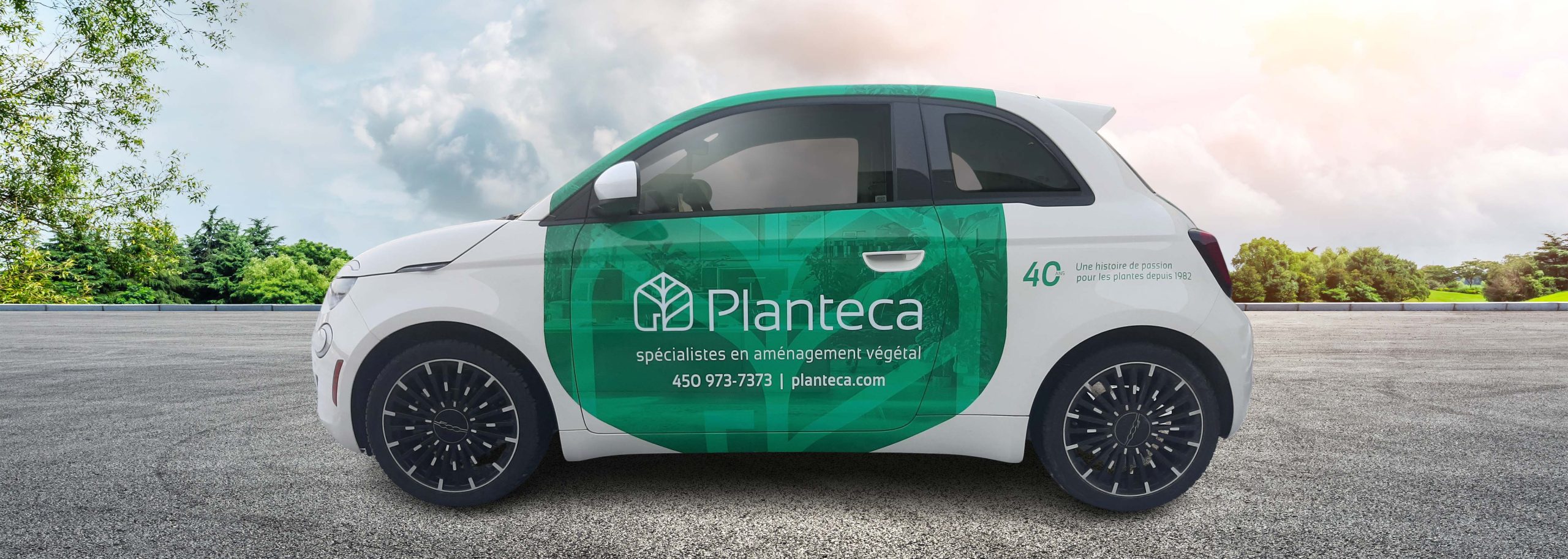 PLANTECA FIAT FLASH 1/2 WRAP